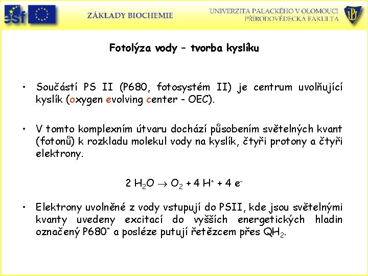 Fotolýza vody – tvorba kyslíku • Součástí PS II (P 680, fotosystém II) je