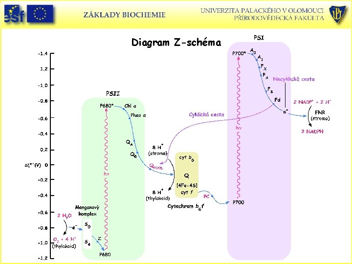 Diagram Z-schéma 