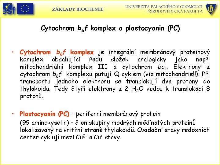 Cytochrom b 6 f komplex a plastocyanin (PC) • Cytochrom b 6 f komplex