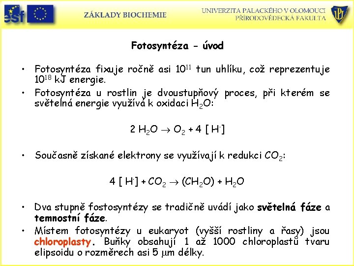 Fotosyntéza - úvod • Fotosyntéza fixuje ročně asi 1011 tun uhlíku, což reprezentuje 1018