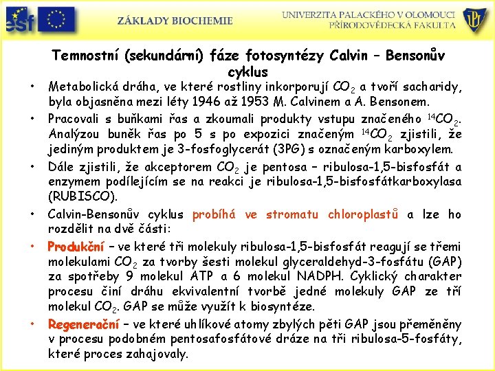  • • • Temnostní (sekundární) fáze fotosyntézy Calvin – Bensonův cyklus Metabolická dráha,