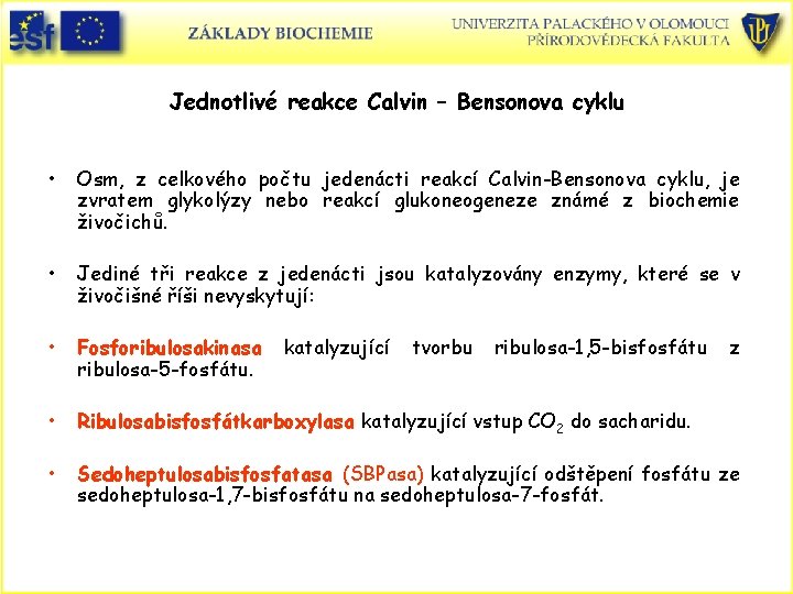 Jednotlivé reakce Calvin – Bensonova cyklu • Osm, z celkového počtu jedenácti reakcí Calvin-Bensonova
