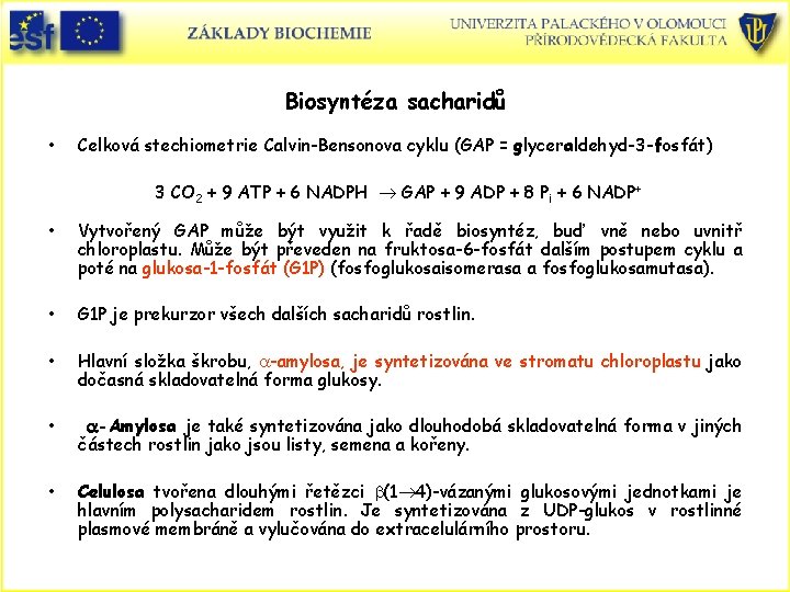 Biosyntéza sacharidů • Celková stechiometrie Calvin-Bensonova cyklu (GAP = glyceraldehyd-3 -fosfát) 3 CO 2