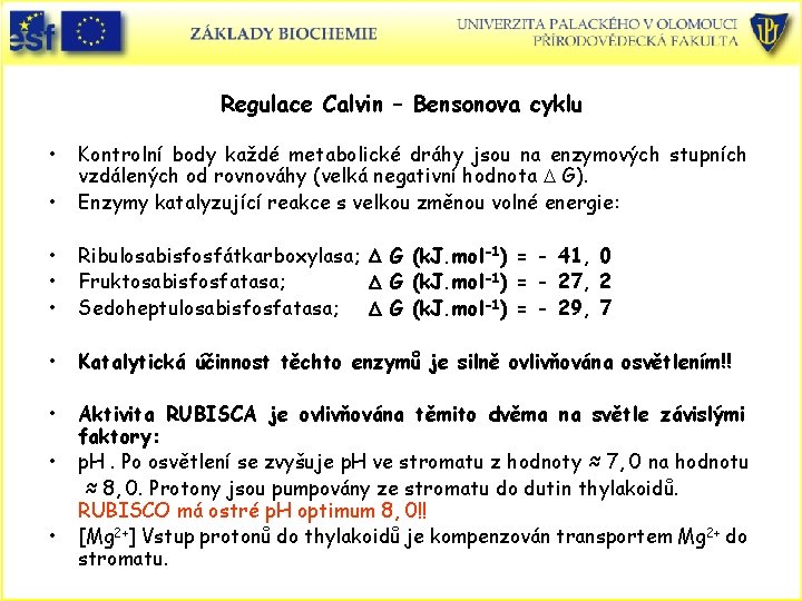 Regulace Calvin – Bensonova cyklu • • Kontrolní body každé metabolické dráhy jsou na