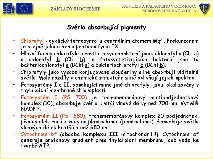 Světlo absorbující pigmenty • • Chlorofyl - cyklický tetrapyrrol s centrálním atomem Mg 2+.