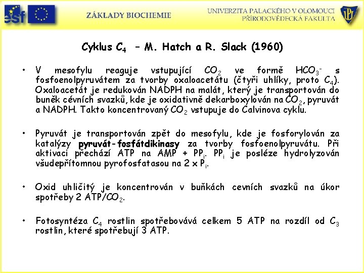 Cyklus C 4 – M. Hatch a R. Slack (1960) • V mesofylu reaguje