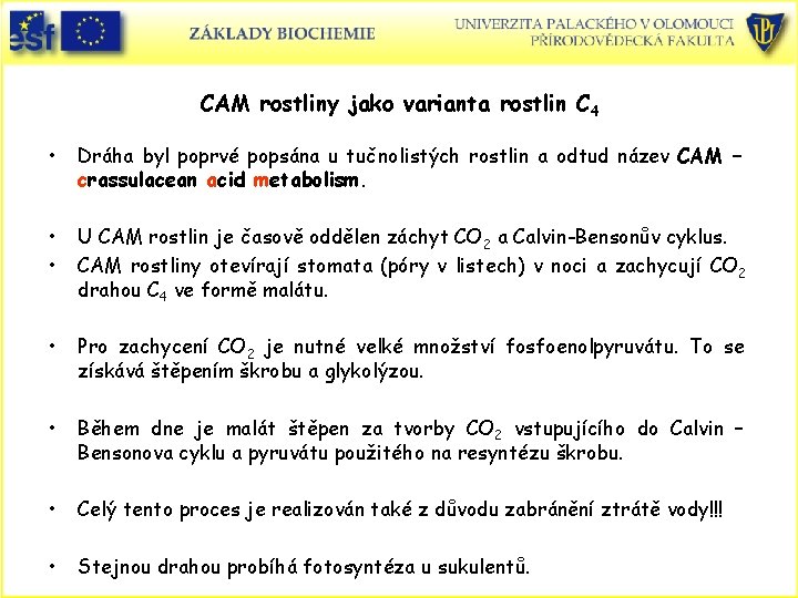 CAM rostliny jako varianta rostlin C 4 • Dráha byl poprvé popsána u tučnolistých