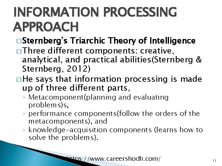 INFORMATION PROCESSING APPROACH � Sternberg's Triarchic Theory of Intelligence � Three different components: creative,