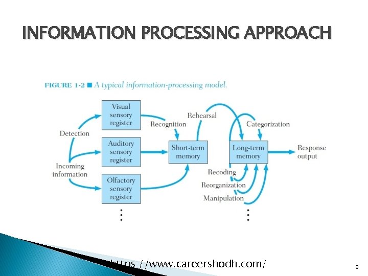 INFORMATION PROCESSING APPROACH https: //www. careershodh. com/ 8 