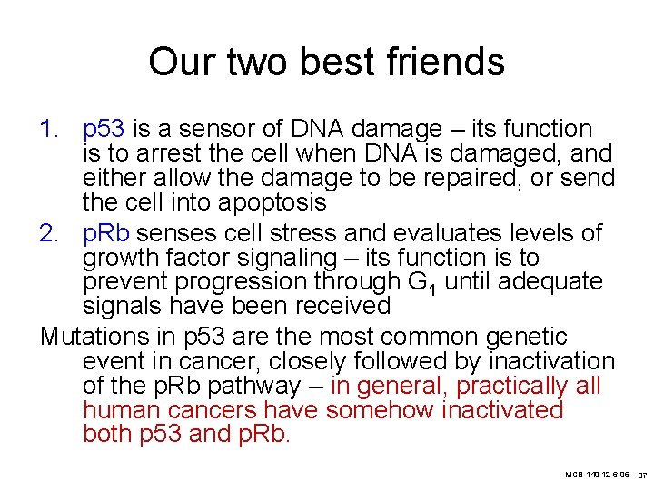 Our two best friends 1. p 53 is a sensor of DNA damage –