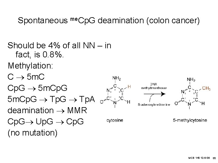 Spontaneous me. Cp. G deamination (colon cancer) Should be 4% of all NN –