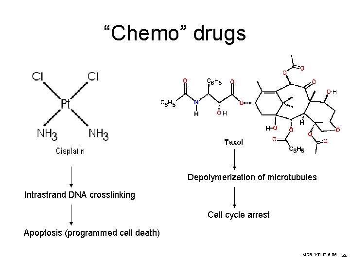 “Chemo” drugs Depolymerization of microtubules Intrastrand DNA crosslinking Cell cycle arrest Apoptosis (programmed cell