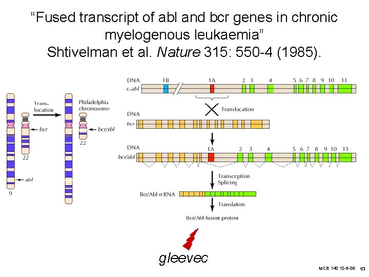 “Fused transcript of abl and bcr genes in chronic myelogenous leukaemia” Shtivelman et al.