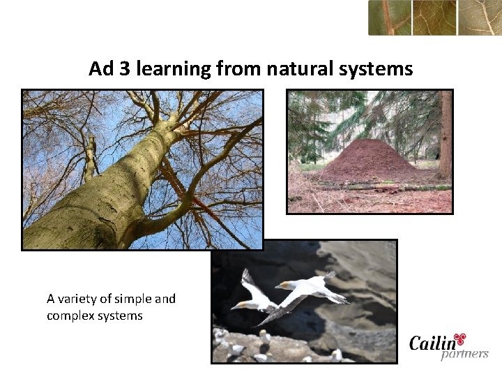 Ad 3 learning from natural systems A variety of simple and complex systems 