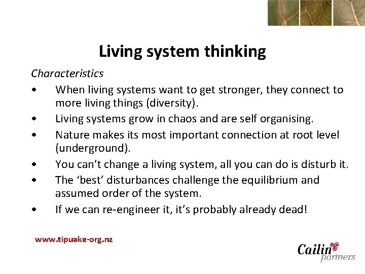 Living system thinking Characteristics • When living systems want to get stronger, they connect