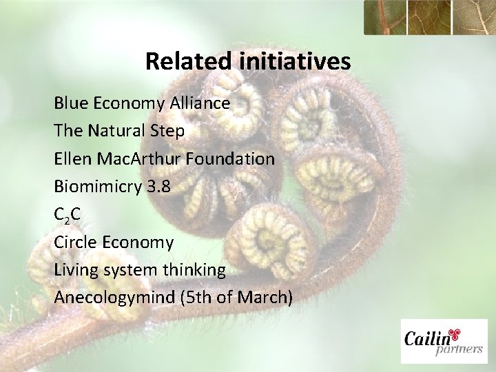 Related initiatives Blue Economy Alliance The Natural Step Ellen Mac. Arthur Foundation Biomimicry 3.