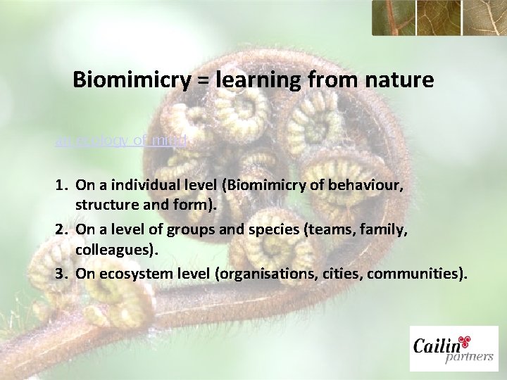 Biomimicry = learning from nature an ecology of mind 1. On a individual level