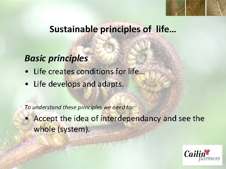 Sustainable principles of life… Basic principles • Life creates conditions for life… • Life