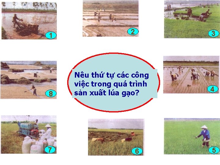 1 8 7 2 3 Nêu thứ tự các công việc trong quá trình