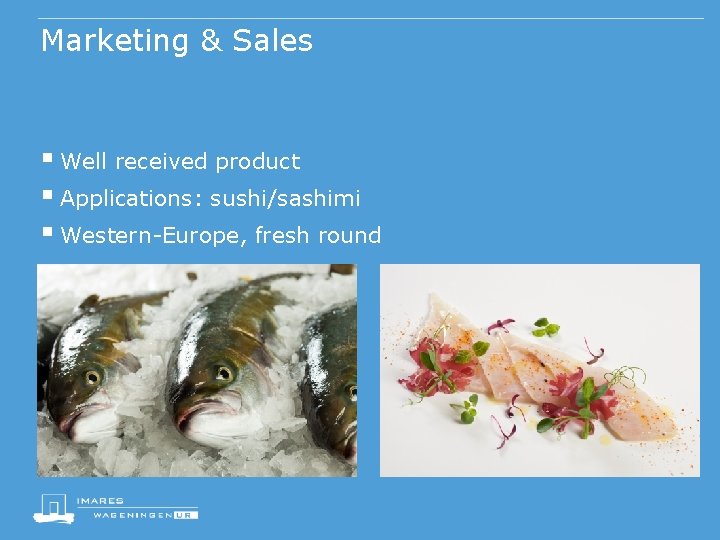 Marketing & Sales § Well received product § Applications: sushi/sashimi § Western-Europe, fresh round