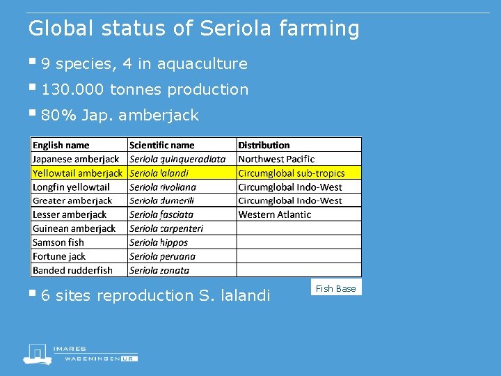 Global status of Seriola farming § 9 species, 4 in aquaculture § 130. 000