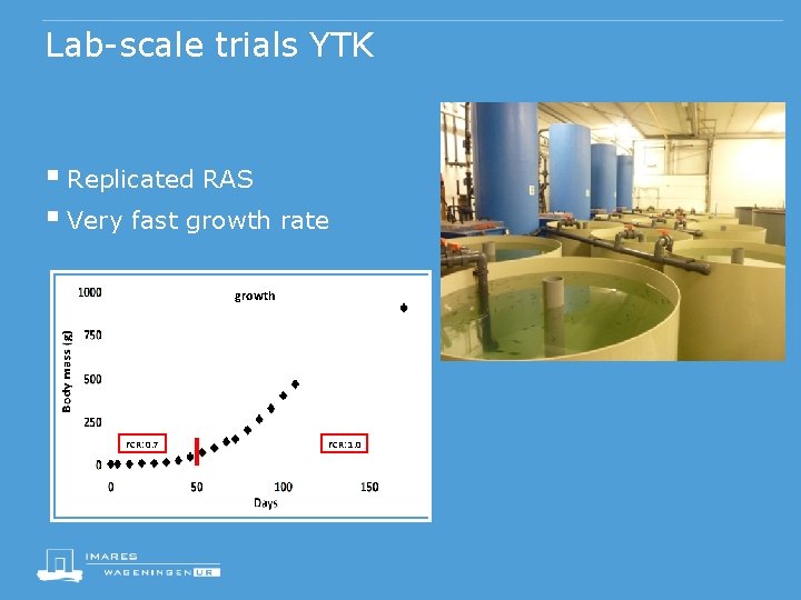 Lab-scale trials YTK § Replicated RAS § Very fast growth rate growth FCR: 0.