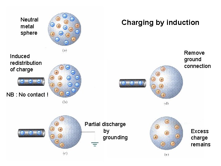 Neutral metal sphere Charging by induction Remove ground connection Induced redistribution of charge NB