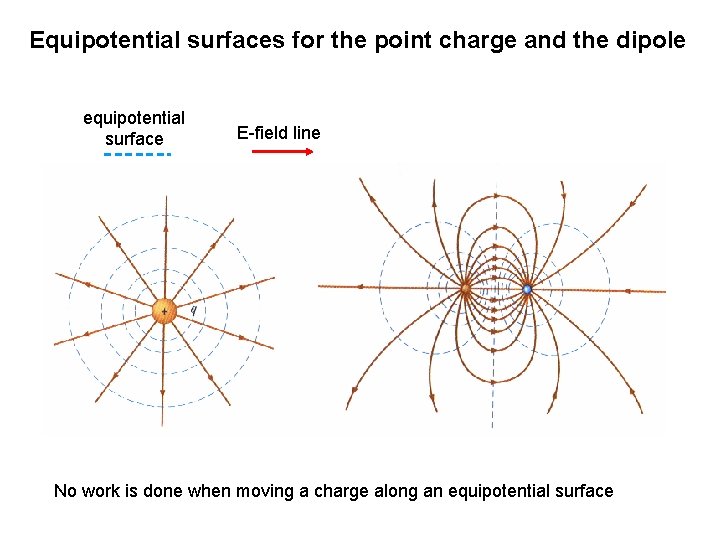 Equipotential surfaces for the point charge and the dipole equipotential surface E-field line No