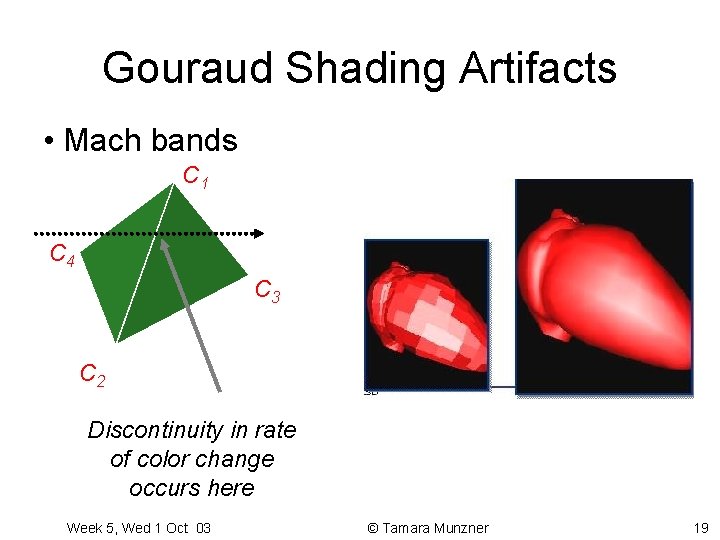 Gouraud Shading Artifacts • Mach bands C 1 C 4 C 3 C 2