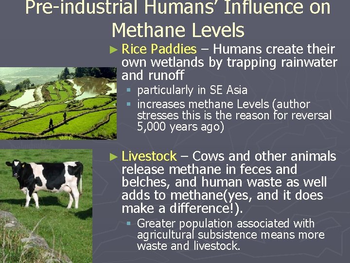 Pre-industrial Humans’ Influence on Methane Levels ► Rice Paddies – Humans create their own