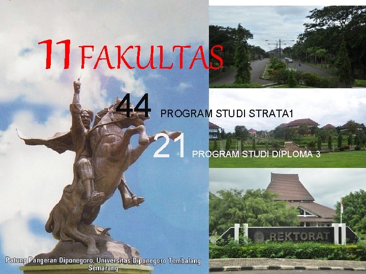 11 FAKULTAS 44 21 PROGRAM STUDI STRATA 1 PROGRAM STUDI DIPLOMA 3 