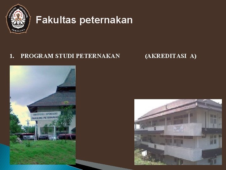 Fakultas peternakan 1. PROGRAM STUDI PETERNAKAN (AKREDITASI A) 