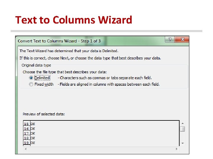 Text to Columns Wizard 