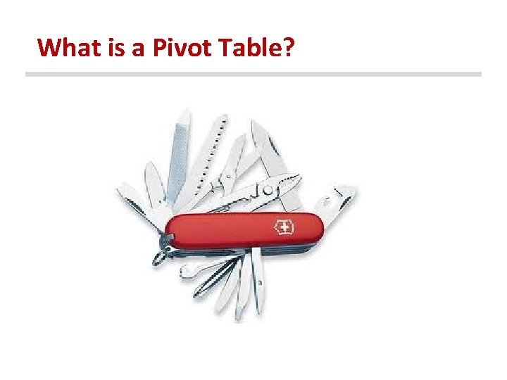 What is a Pivot Table? 