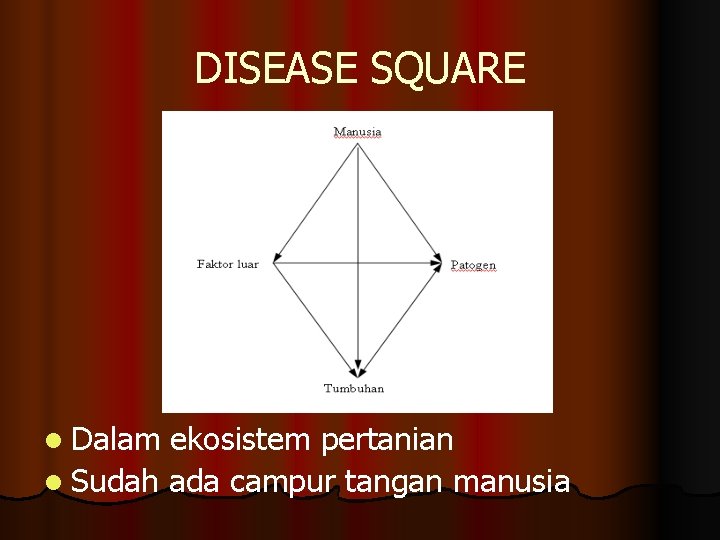 DISEASE SQUARE l Dalam ekosistem pertanian l Sudah ada campur tangan manusia 