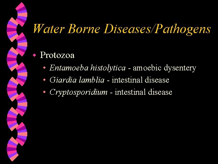 Water Borne Diseases/Pathogens w Protozoa • Entamoeba histolytica - amoebic dysentery • Giardia lamblia