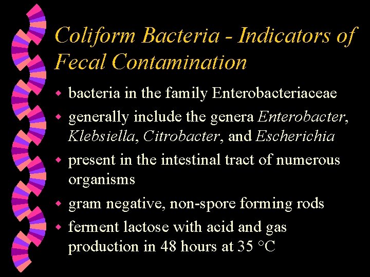 Coliform Bacteria - Indicators of Fecal Contamination w w w bacteria in the family