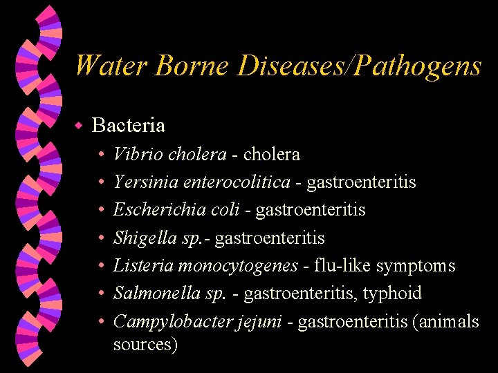 Water Borne Diseases/Pathogens w Bacteria • • Vibrio cholera - cholera Yersinia enterocolitica -