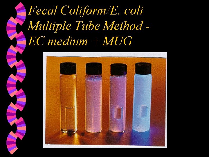 Fecal Coliform/E. coli Multiple Tube Method EC medium + MUG 