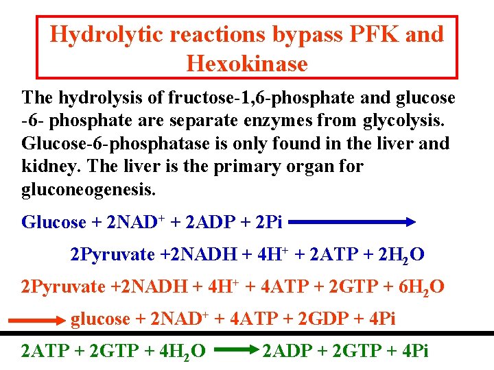 Hydrolytic reactions bypass PFK and Hexokinase The hydrolysis of fructose-1, 6 -phosphate and glucose