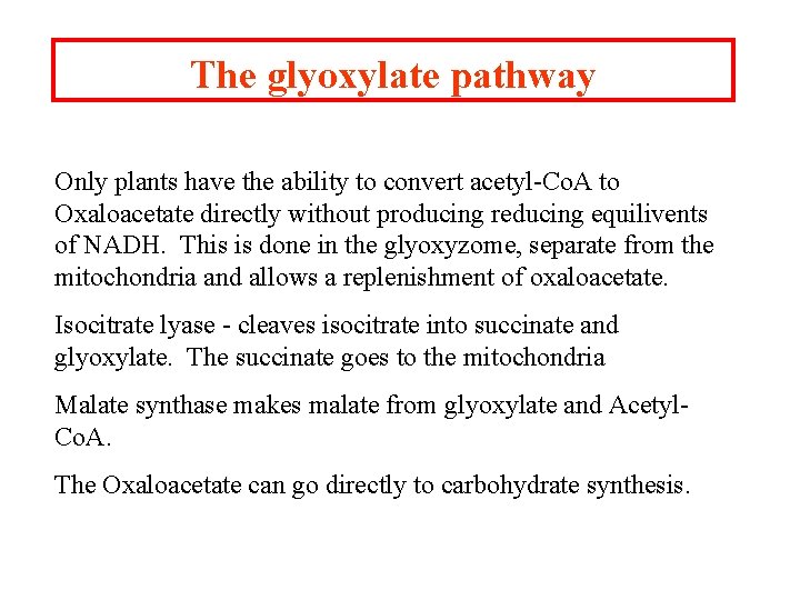 The glyoxylate pathway Only plants have the ability to convert acetyl-Co. A to Oxaloacetate