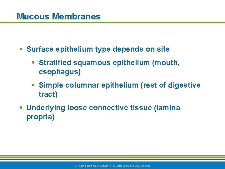 Mucous Membranes § Surface epithelium type depends on site § Stratified squamous epithelium (mouth,