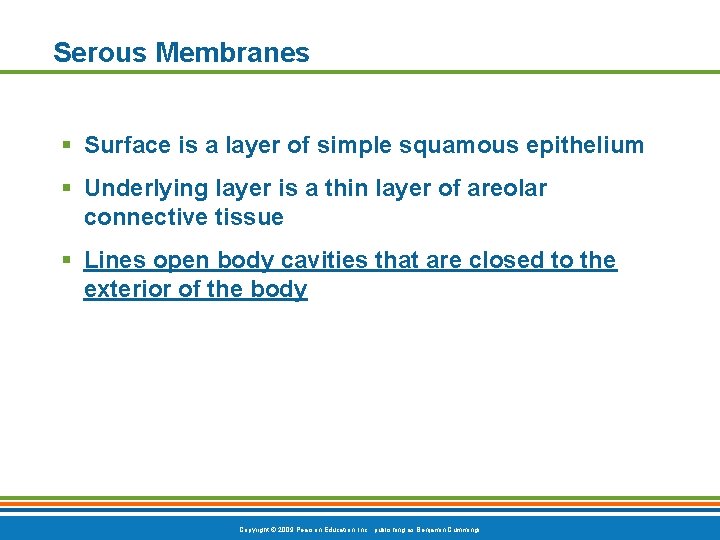 Serous Membranes § Surface is a layer of simple squamous epithelium § Underlying layer