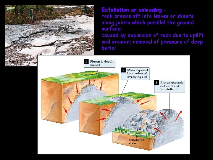 Exfoliation or unloading rock breaks off into leaves or sheets along joints which parallel