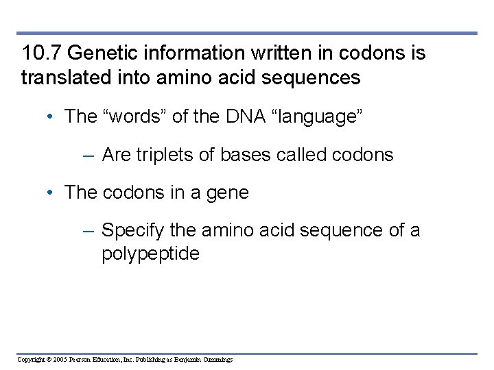 10. 7 Genetic information written in codons is translated into amino acid sequences •