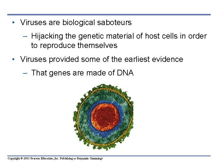  • Viruses are biological saboteurs – Hijacking the genetic material of host cells