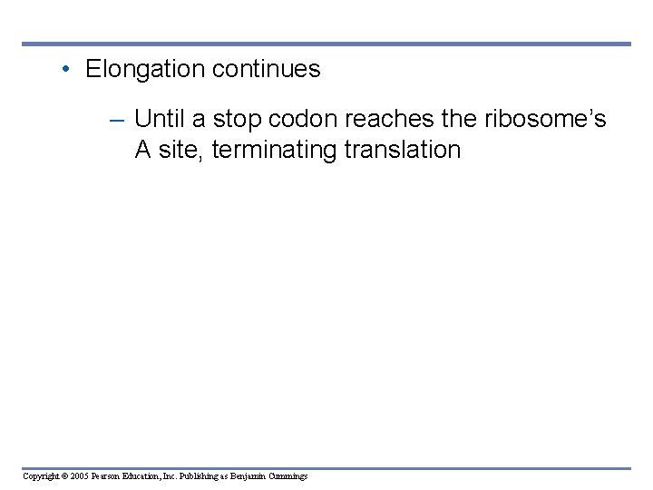  • Elongation continues – Until a stop codon reaches the ribosome’s A site,
