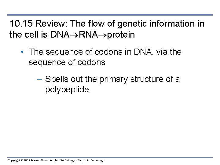10. 15 Review: The flow of genetic information in the cell is DNA RNA
