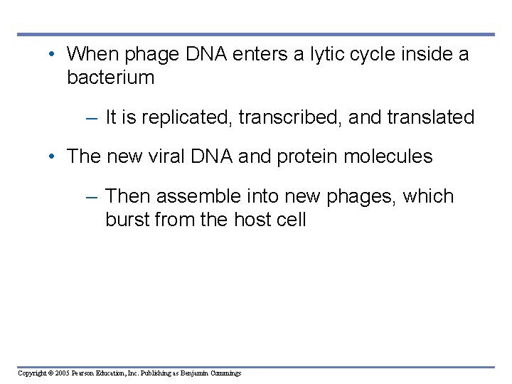  • When phage DNA enters a lytic cycle inside a bacterium – It