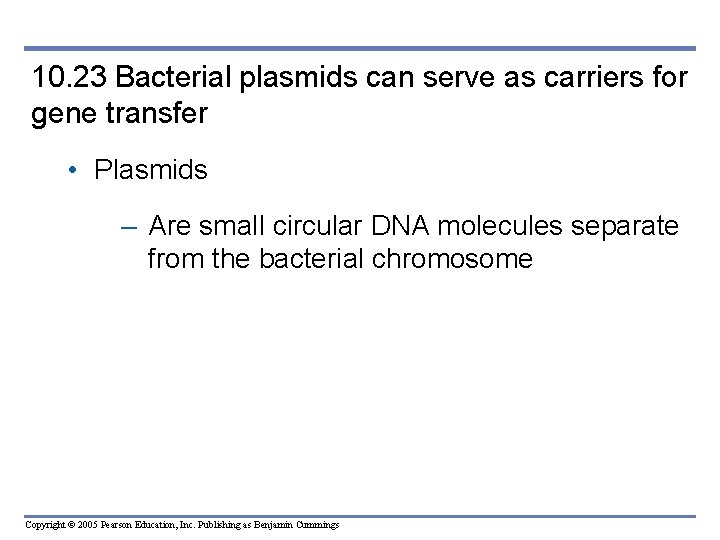 10. 23 Bacterial plasmids can serve as carriers for gene transfer • Plasmids –